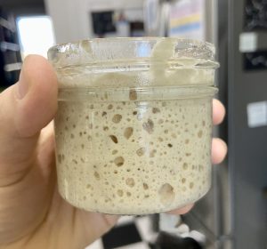 Active Sourdough Starter in small jar held by hand