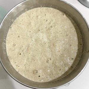 A large amount of sourdough starter in a kitchen aid mixing bowl