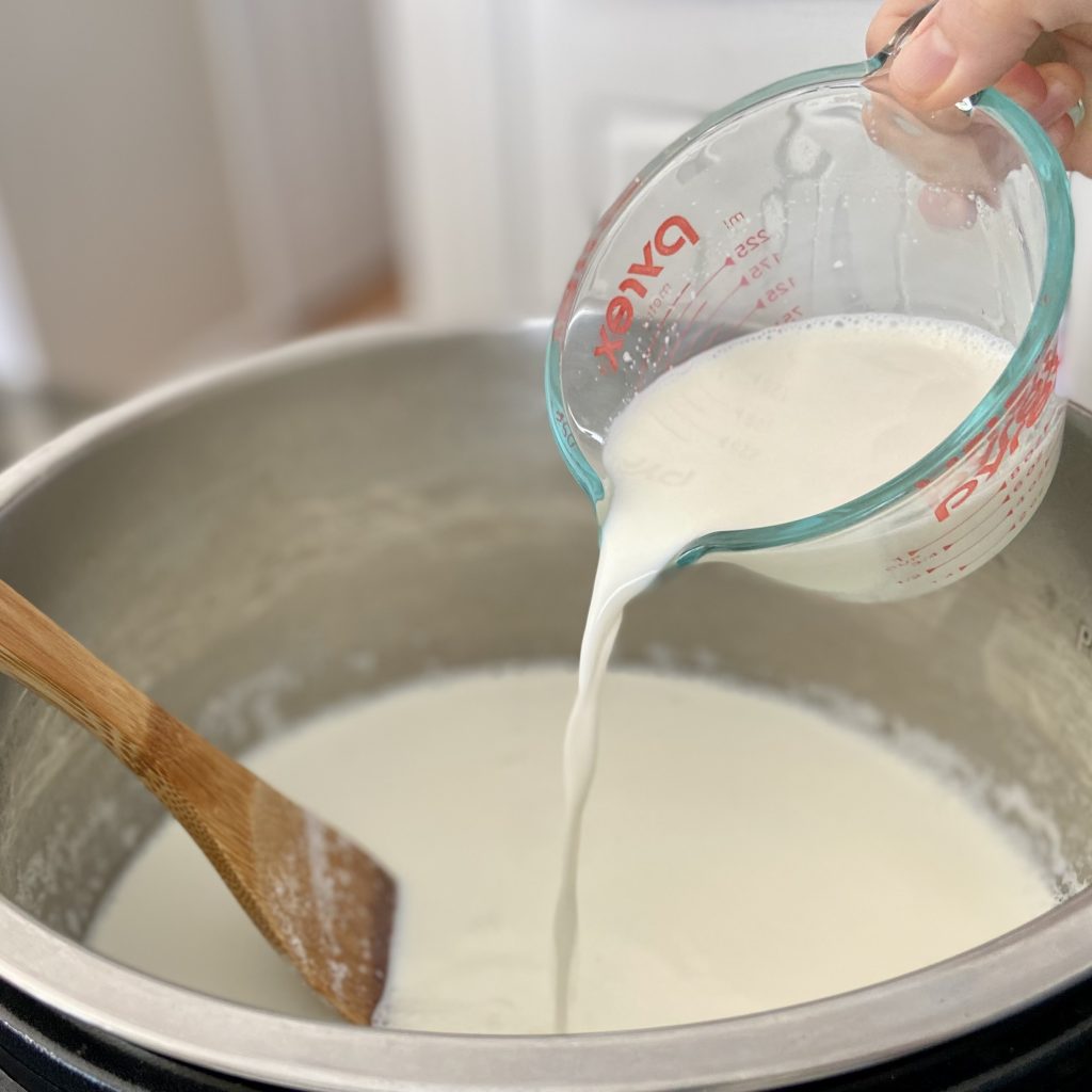 Milk & Yogurt mixture being poured into a pot of milk