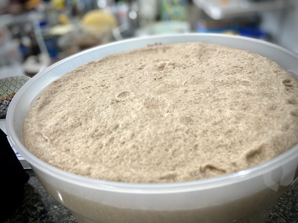 A large plastic container with dough in it