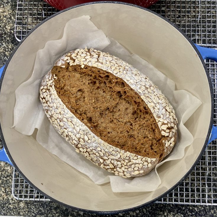 A loaf of baked oatmeal rye sourdough bread resting in a dutch oven just after it was removed from the oven.