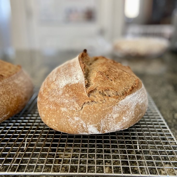 Loaf of sourdough bread resting on a cooling rack after coming out of the oven