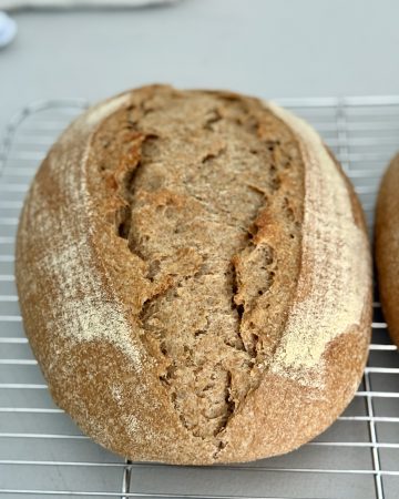 Loaf of einkorn spelt bread resting on a cooling rack